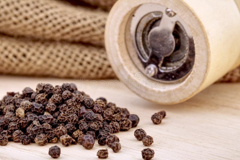 Ξύλινος μύλος πιπεριών και μαύρο peppercorn στοκ φωτογραφίες με δικαίωμα ελεύθερης χρήσης