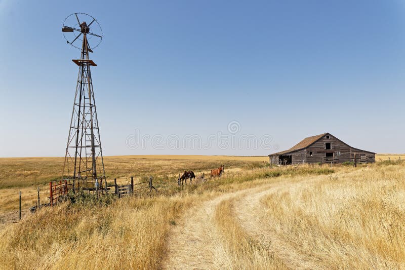 Old wood barns, stables and windmill in North dakota countryside. Old wood barns, stables and windmill in North dakota countryside