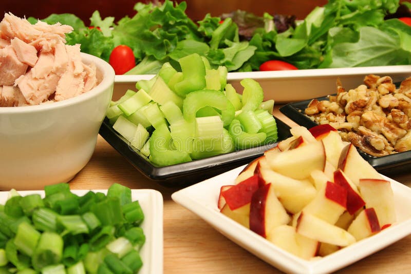 Shot of an apple tuna walnut salad ingredients. Shot of an apple tuna walnut salad ingredients