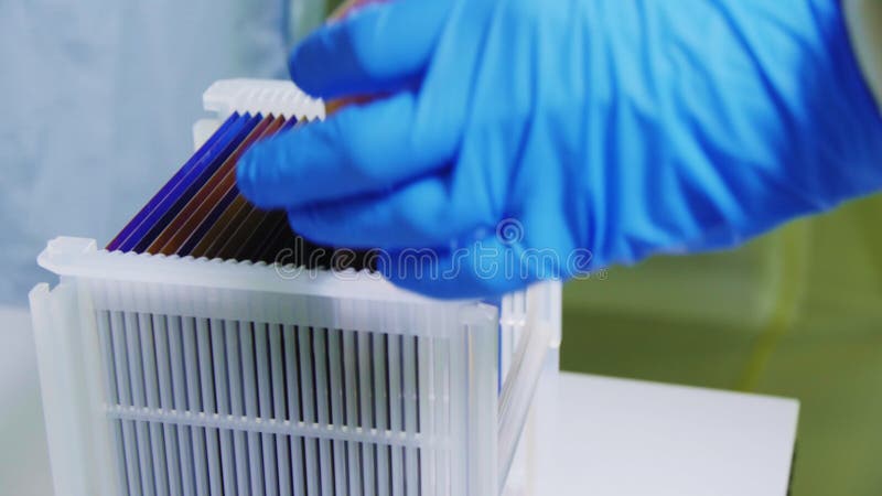 Ο εργαζόμενος συμμετέχει στην ηλιακή οθόνη από το rack στο εργαστήριο απόθεμα βίντεο
