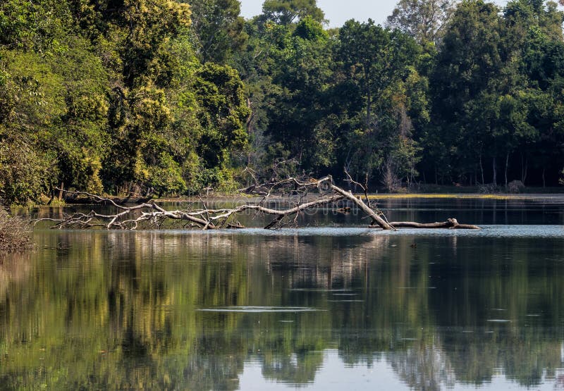 Ο ναός Khan Preah σε σύνθετο Angkor Wat σε Siem συγκεντρώνει, Καμπότζη στοκ φωτογραφία με δικαίωμα ελεύθερης χρήσης Ο ναός Khan Preah σε σύνθετο Angkor Wat σε Siem συγκεντρώνει, Καμπότζη στοκ φωτογραφία με δικαίωμα ελεύθερης χρήσης