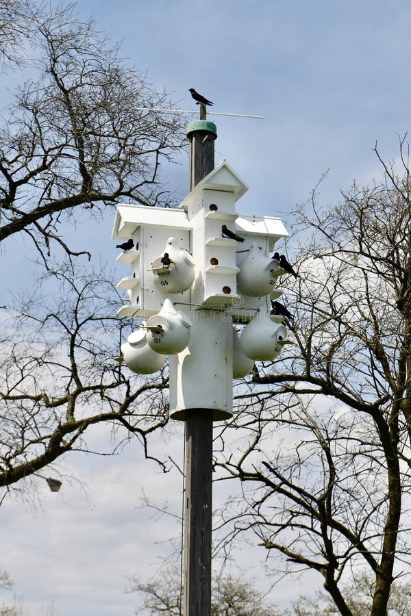 This is a Spring picture of multi-family Purple Martin Birdhouses at Montrose Harbor on Lake Michigan located in Chicago, Illinois in Cook County. These Birdhouses are specifically designed to encourage Purple Martins to nest in them. These houses were bui T and placed by the Chicago Park District and monitored by local volunteers. This picture was taken on May 2, 2018. This is a Spring picture of multi-family Purple Martin Birdhouses at Montrose Harbor on Lake Michigan located in Chicago, Illinois in Cook County. These Birdhouses are specifically designed to encourage Purple Martins to nest in them. These houses were bui T and placed by the Chicago Park District and monitored by local volunteers. This picture was taken on May 2, 2018.