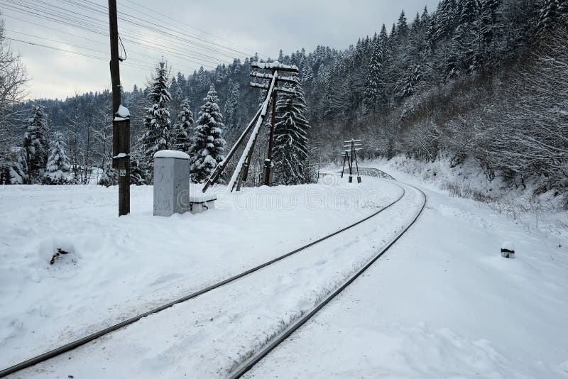 Ο χιονισμένος σιδηρόδρομος ακολουθεί κοντά στο δάσος πεύκων στα Καρπάθια βουνά στοκ φωτογραφία με δικαίωμα ελεύθερης χρήσης Ο χιονισμένος σιδηρόδρομος ακολουθεί κοντά στο δάσος πεύκων στα Καρπάθια βουνά στοκ φωτογραφία με δικαίωμα ελεύθερης χρήσης