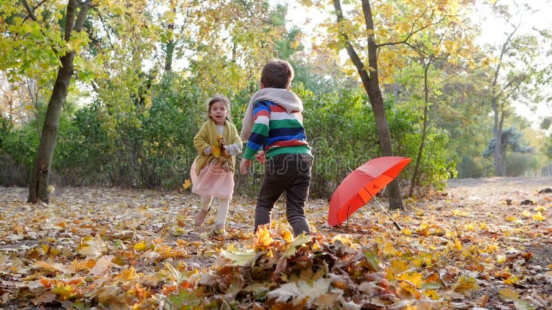 Ο χρόνος φθινοπώρου, παιδιά συλλέγει τα κίτρινα περιερχόμενα φύλλα στο σωρό στο υπόβαθρο των δέντρων και της κόκκινης ομπρέλας στ