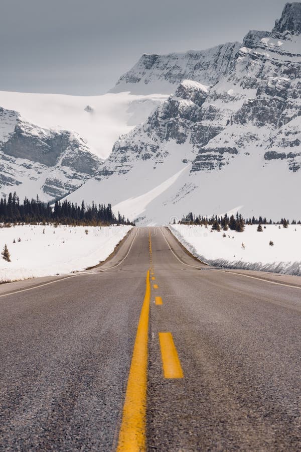 Ο χώρος στάθμευσης Icefields είναι ένας από τους παγκόσμιους πιό θεαματικούς δρόμους Όμορφο τοπίο προσφορών, προσοχή άγριας φύσης στοκ εικόνες με δικαίωμα ελεύθερης χρήσης Ο χώρος στάθμευσης Icefields είναι ένας από τους παγκόσμιους πιό θεαματικούς δρόμους Όμορφο τοπίο προσφορών, προσοχή άγριας φύσης στοκ εικόνες με δικαίωμα ελεύθερης χρήσης