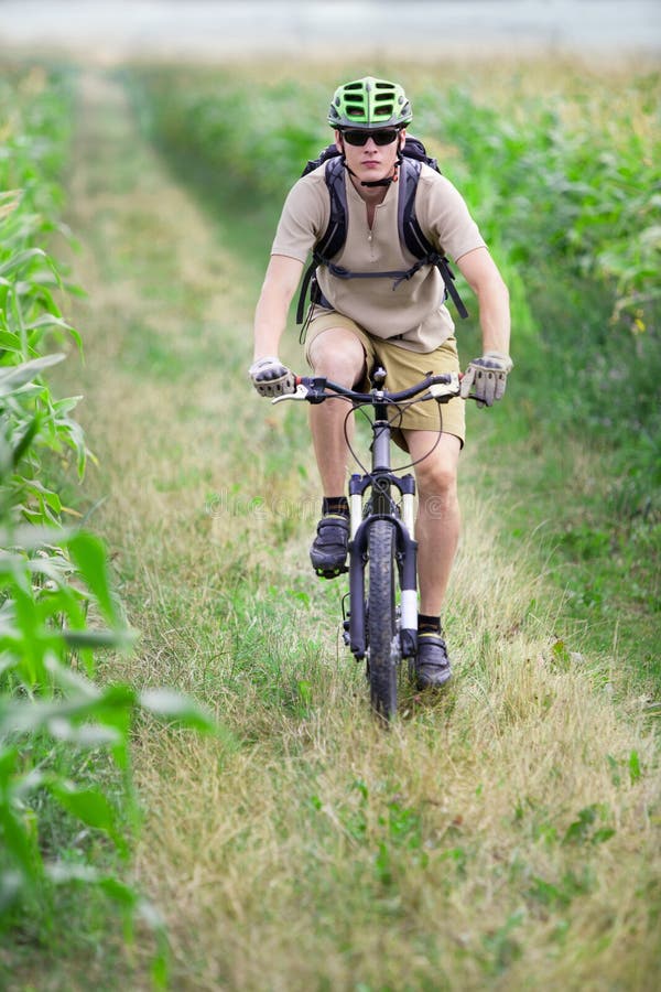 Mountain biker riding on cornfield. Mountain biker riding on cornfield