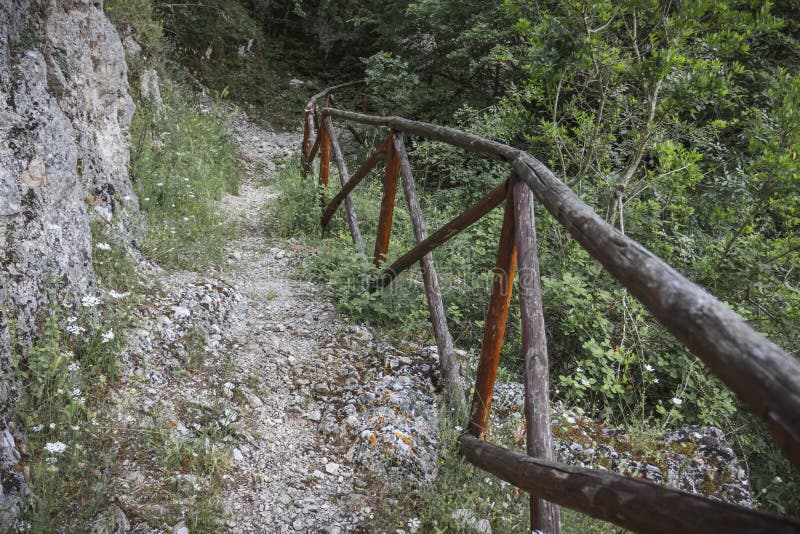 Οδική εικόνα δασών και βουνών φύσης στοκ φωτογραφία με δικαίωμα ελεύθερης χρήσης Οδική εικόνα δασών και βουνών φύσης στοκ φωτογραφία με δικαίωμα ελεύθερης χρήσης