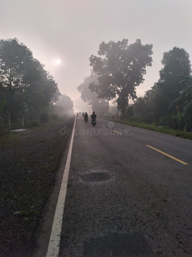 Foggy road in the morning causes short visibility. Foggy road in the morning causes short visibility