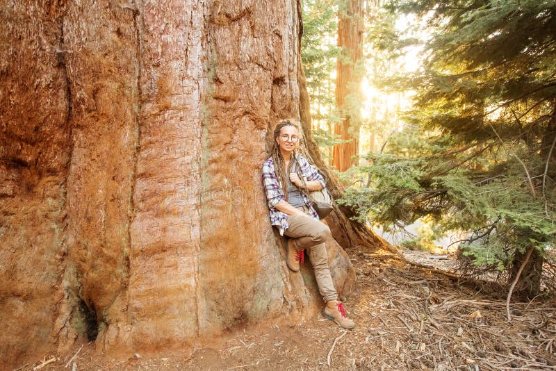 Οδοιπόρος Sequoia στο εθνικό πάρκο σε Καλιφόρνια, ΗΠΑ στοκ εικόνα
