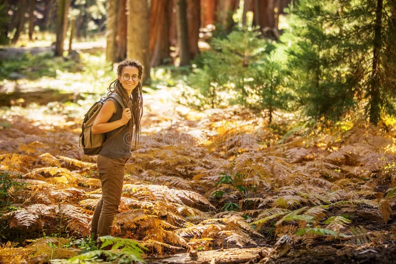 Οδοιπόρος Sequoia στο εθνικό πάρκο σε Καλιφόρνια, ΗΠΑ στοκ εικόνα