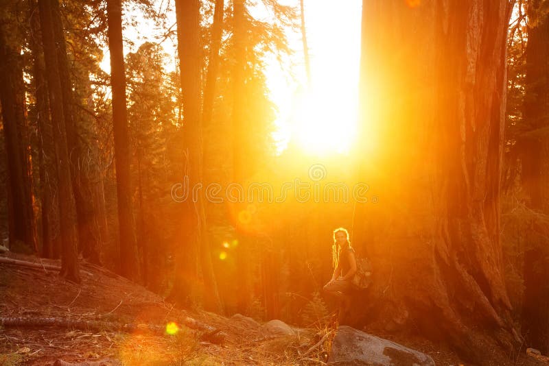 Οδοιπόρος Sequoia στο εθνικό πάρκο σε Καλιφόρνια, ΗΠΑ στοκ φωτογραφίες