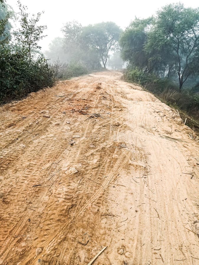 Paingari village route in a winter morning, nawada ,Bihar india
This road is connected warishaliganj market about 6km distance. Paingari village route in a winter morning, nawada ,Bihar india
This road is connected warishaliganj market about 6km distance.