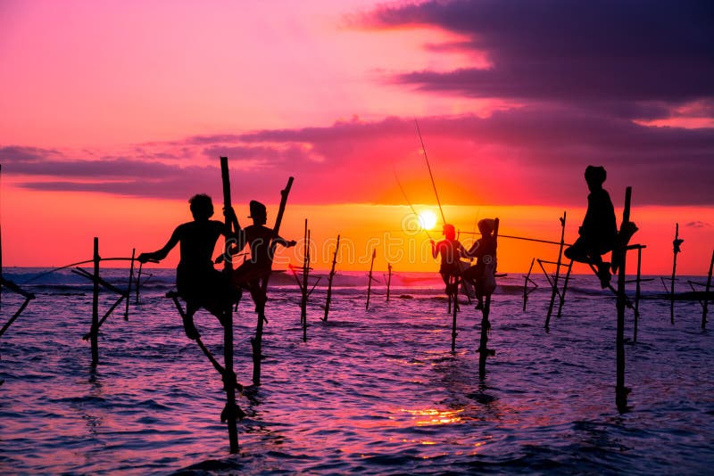 The Traditional Stilt Fishermen at sunset in Srilanka. The Traditional Stilt Fishermen at sunset in Srilanka