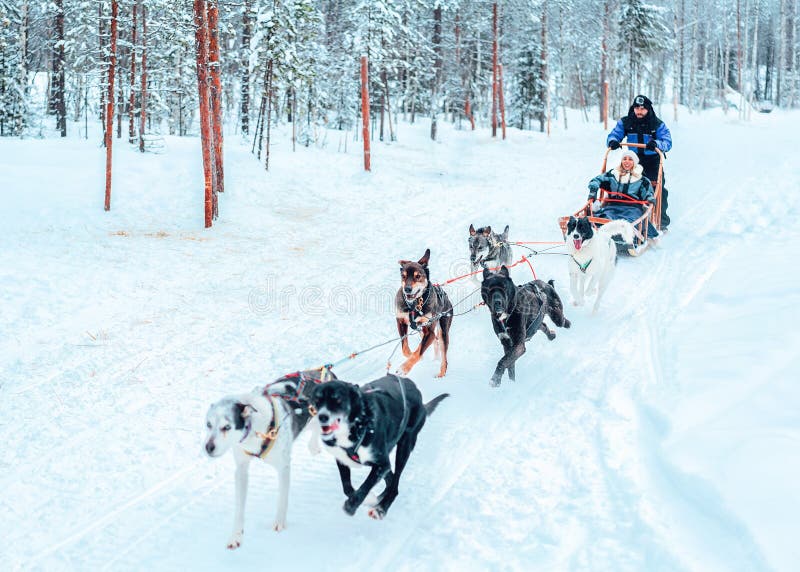 ?????????? ??? ????? ?? ?????????? ??????? ??????? ??? ????????? ??? Lapland ?? ??????? στοκ εικόνες με δικαίωμα ελεύθερης χρήσης ?????????? ??? ????? ?? ?????????? ??????? ??????? ??? ????????? ??? Lapland ?? ??????? στοκ εικόνες με δικαίωμα ελεύθερης χρήσης