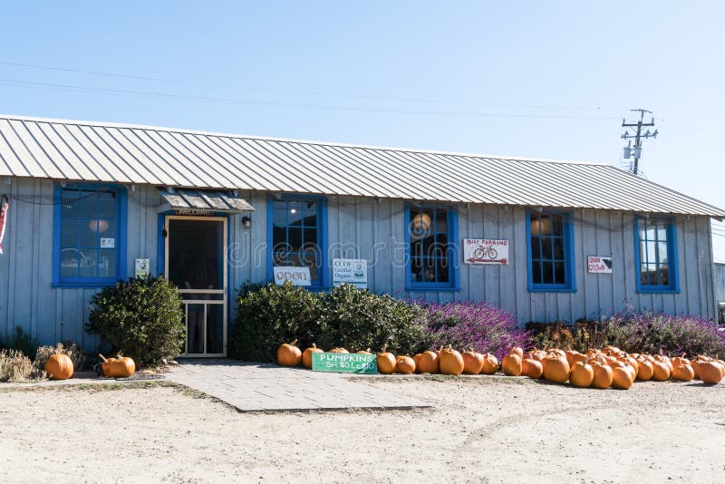 OCT 20 2017 - SWANTON, CA: Swanton Berry Farm, a U-Pick strawberry farm along the Pacific Coast Highway 1 PCH. OCT 20 2017 - SWANTON, CA: Swanton Berry Farm, a U-Pick strawberry farm along the Pacific Coast Highway 1 PCH