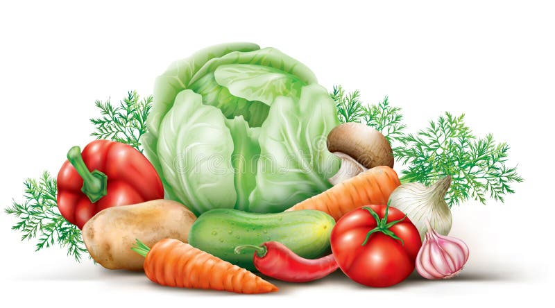 Vegetables group on the white background. Vector illustration. Vegetables group on the white background. Vector illustration