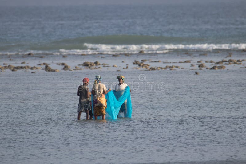 Group of African woman from Mozambique, fishing fish with domestic made net, Indian Ocean, during low tide when water is low. Group of African woman from Mozambique, fishing fish with domestic made net, Indian Ocean, during low tide when water is low