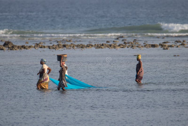 Group of African woman from Mozambique, fishing fish with domestic made net, Indian Ocean, during low tide when water is low. Group of African woman from Mozambique, fishing fish with domestic made net, Indian Ocean, during low tide when water is low