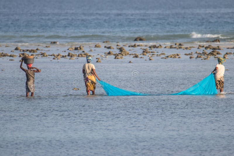 Group of African woman from Mozambique, fishing fish with domestic made net, Indian Ocean, during low tide when water is low. Group of African woman from Mozambique, fishing fish with domestic made net, Indian Ocean, during low tide when water is low