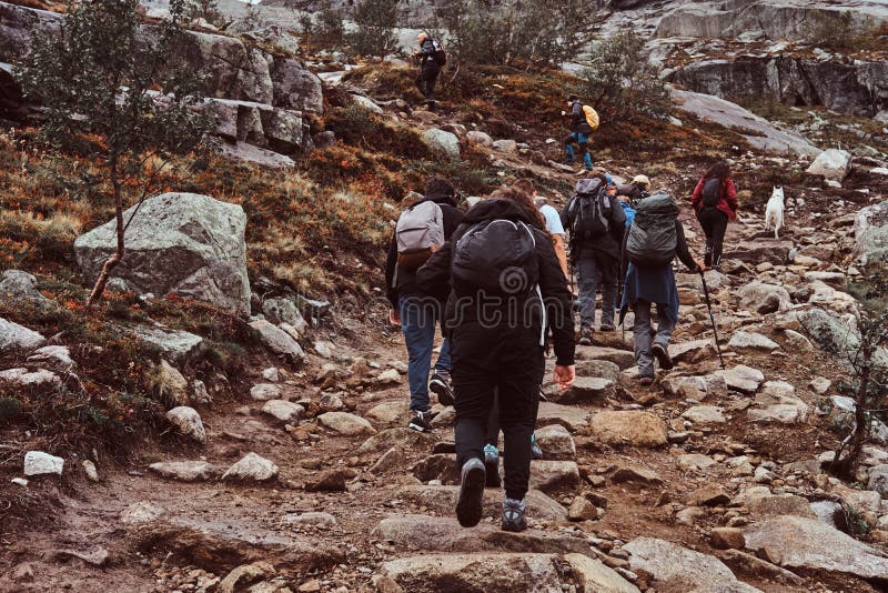 Ομάδα οδοιπόρων με τα σακίδια πλάτης, που ακολουθεί στα βουνά στοκ εικόνες με δικαίωμα ελεύθερης χρήσης