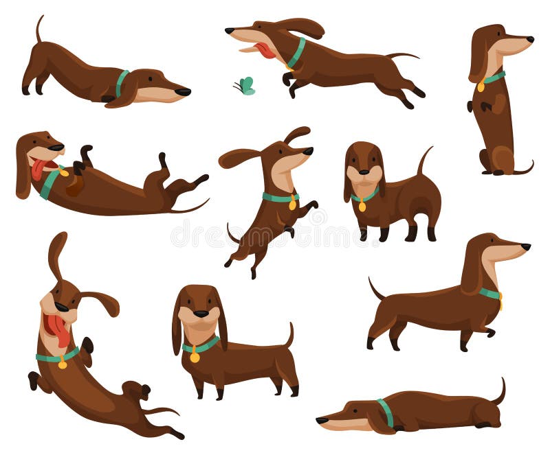ομάδα σκύλων dachshund. χαριτωμένοι αστείοι χαρακτήρες που απεικονίζονται σε διαφορετικές θέσεις. μικρά κατοικίδια με μακρύ σώμα. ελεύθερη απεικόνιση δικαιώματος