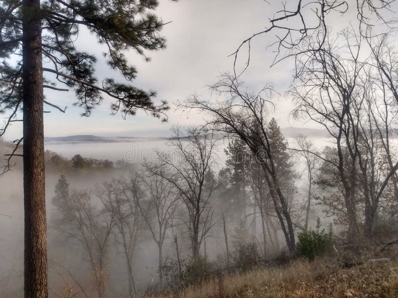 ομιχλώδης όχθες ανυψώνονται με τον ήλιο αποκαλύπτει φαράγγι στοκ φωτογραφία