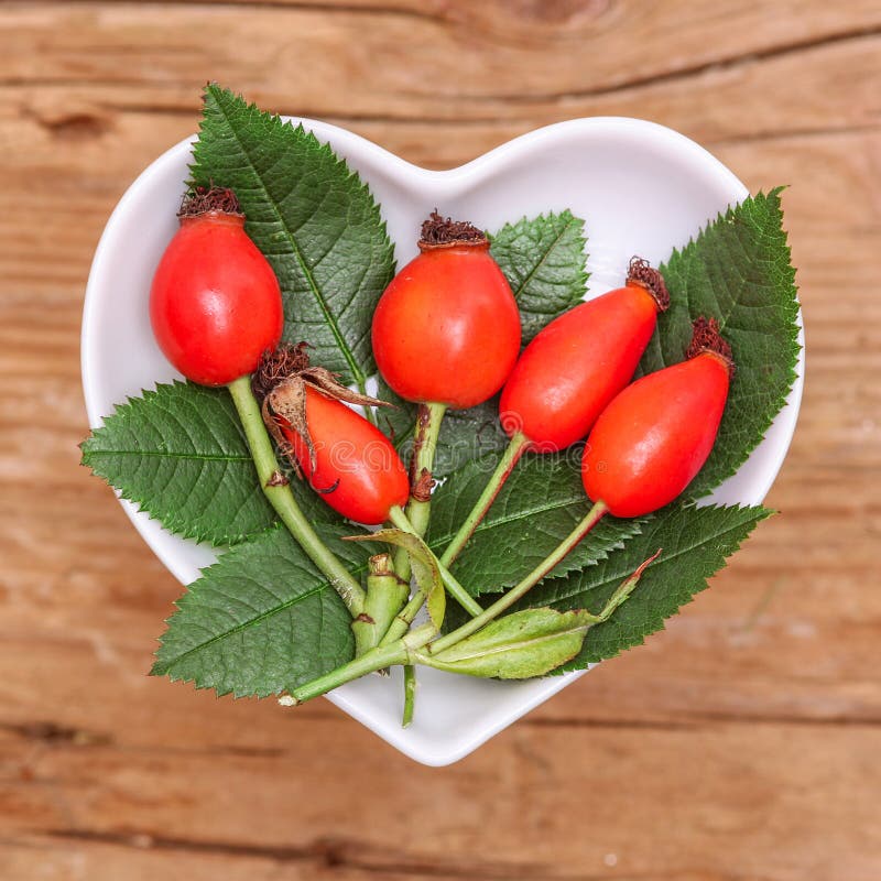 Rose hip for homeopathy, cooking or tea. Rose hip for homeopathy, cooking or tea.