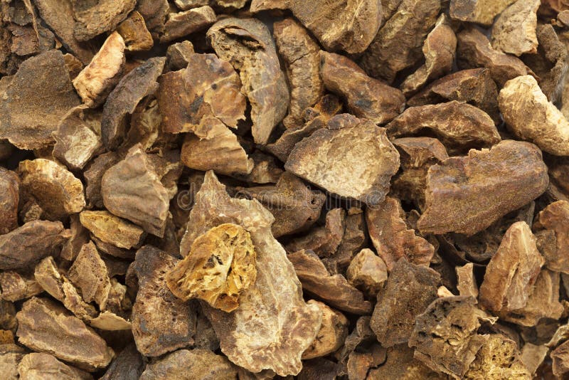 Οργανικό ραγισμένο Chebulic Myrobalan ή Choti Harad (chebula Terminalia) στοκ εικόνα