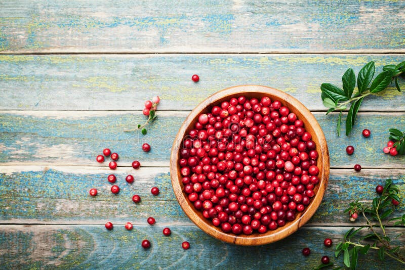 Οργανικό φρέσκο cowberry lingonberry, partridgeberry, foxberry στο ξύλινο κύπελλο στην αγροτική εκλεκτής ποιότητας άποψη επιτραπέ στοκ εικόνες