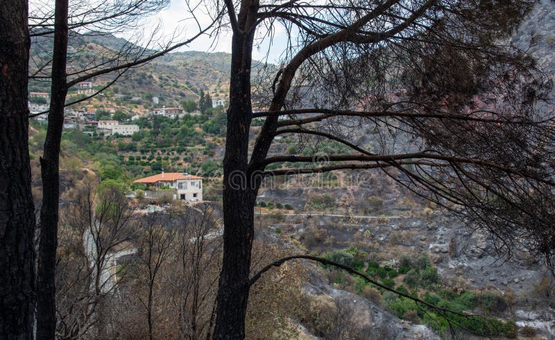 ορεινή πυρκαγιά με καμένη γη και καταστροφή στη γεωργία. χωριό οδού κύπρος. περιβαλλοντική καταστροφή στοκ φωτογραφία με δικαίωμα ελεύθερης χρήσης