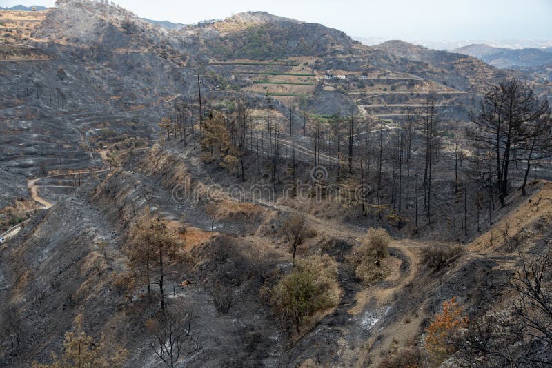 ορεινή πυρκαγιά σε καμένη γεωργική γη και δάσος. χωριό οδών κύπρος. περιβαλλοντική καταστροφή στοκ εικόνες με δικαίωμα ελεύθερης χρήσης