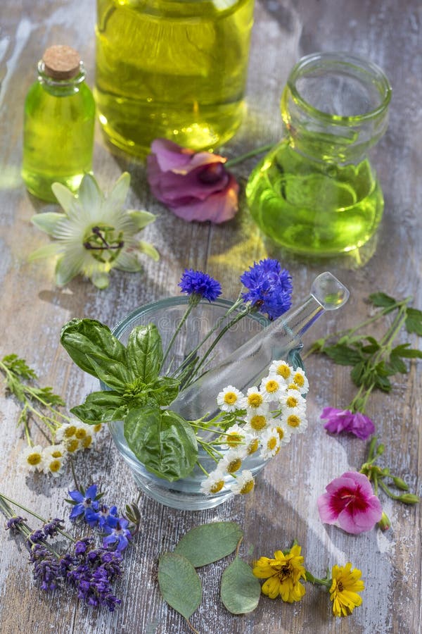 Ουσιαστικά πετρέλαια για τη aromatherapy επεξεργασία με τα φρέσκα χορτάρια στο άσπρο υπόβαθρο κονιάματος στοκ φωτογραφίες Ουσιαστικά πετρέλαια για τη aromatherapy επεξεργασία με τα φρέσκα χορτάρια στο άσπρο υπόβαθρο κονιάματος στοκ φωτογραφίες