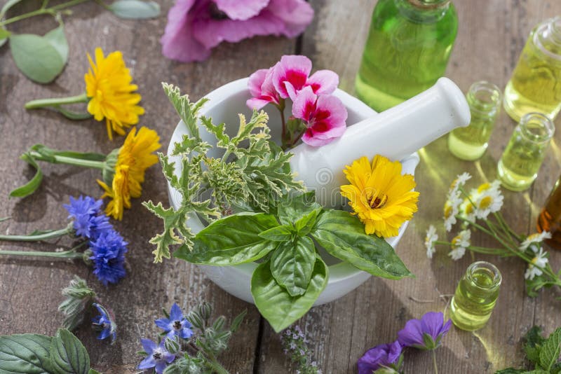 Ουσιαστικά πετρέλαια για τη aromatherapy επεξεργασία με τα φρέσκα χορτάρια στο άσπρο υπόβαθρο κονιάματος στοκ εικόνες με δικαίωμα ελεύθερης χρήσης