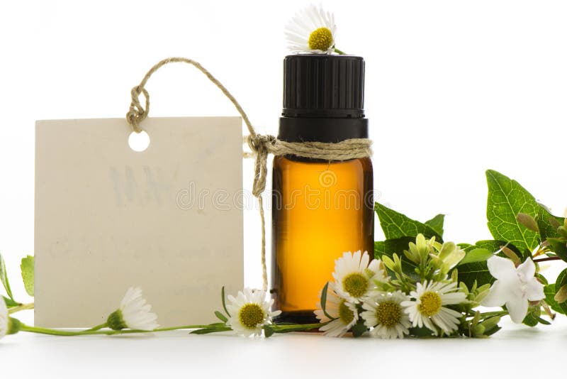 Ουσιαστικό πετρέλαιο, κενές ετικέττες και chamomile στοκ φωτογραφίες με δικαίωμα ελεύθερης χρήσης Ουσιαστικό πετρέλαιο, κενές ετικέττες και chamomile στοκ φωτογραφίες με δικαίωμα ελεύθερης χρήσης