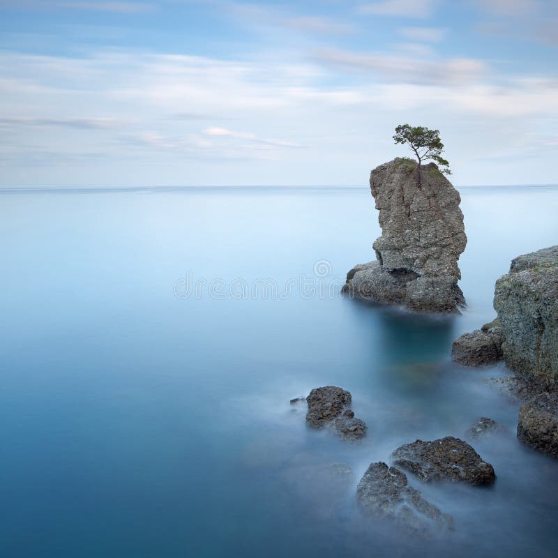 Πάρκο Portofino. Βράχος δέντρων πεύκων. Μακροχρόνια έκθεση. στοκ φωτογραφία με δικαίωμα ελεύθερης χρήσης