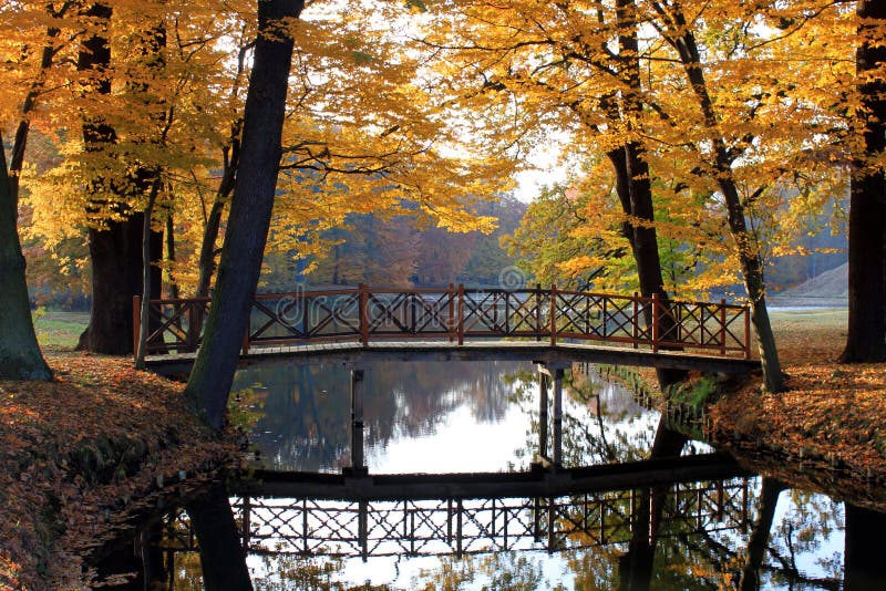 Bridge in the Park in the autumn autumn water park bridge wood sheets forest tree mirror mirror idyll romantic. Bridge in the Park in the autumn autumn water park bridge wood sheets forest tree mirror mirror idyll romantic