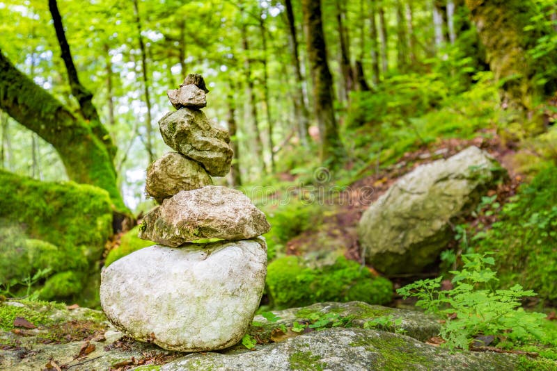 Πέτρες της Zen στο πράσινο δάσος, περιβάλλον φύσης στοκ εικόνα Πέτρες της Zen στο πράσινο δάσος, περιβάλλον φύσης στοκ εικόνα