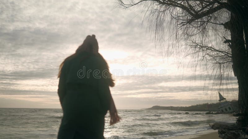 πίσω όψη μοναχικής γυναίκας περπατά κατά μήκος των θαλάσσιων παλίρροιων στην αμμώδη παραλία κατά μήκος γυμνών κλαδιών δέντρων την απόθεμα βίντεο