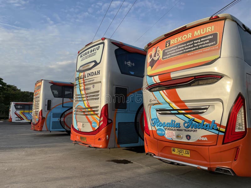 West Java, Indonesia, July 20 2023, Rear view of a row of buses (Rosalia Indah) in the Subang Resort Area, West Java. West Java, Indonesia, July 20 2023, Rear view of a row of buses (Rosalia Indah) in the Subang Resort Area, West Java