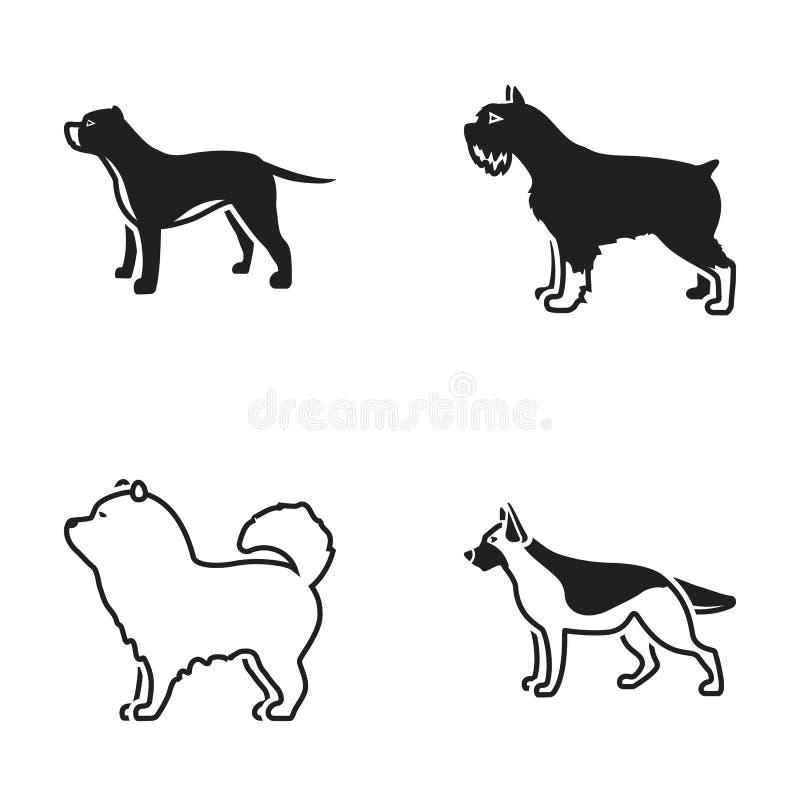 Πίτμπουλ, γερμανικός ποιμένας, chow chow, schnauzer Τις φυλές σκυλιών καθορισμένες τα εικονίδια συλλογής στο μαύρο απόθεμα συμβόλ απεικόνιση αποθεμάτων Πίτμπουλ, γερμανικός ποιμένας, chow chow, schnauzer Τις φυλές σκυλιών καθορισμένες τα εικονίδια συλλογής στο μαύρο απόθεμα συμβόλ απεικόνιση αποθεμάτων