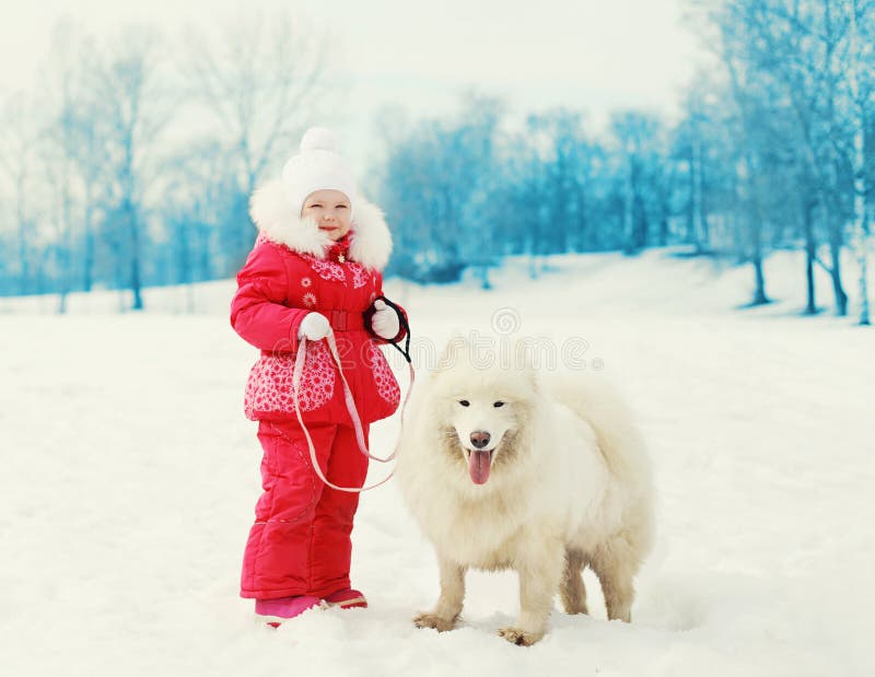 Παιδί με το άσπρο σκυλί Samoyed στο χειμώνα περπατήματος λουριών στοκ φωτογραφίες με δικαίωμα ελεύθερης χρήσης