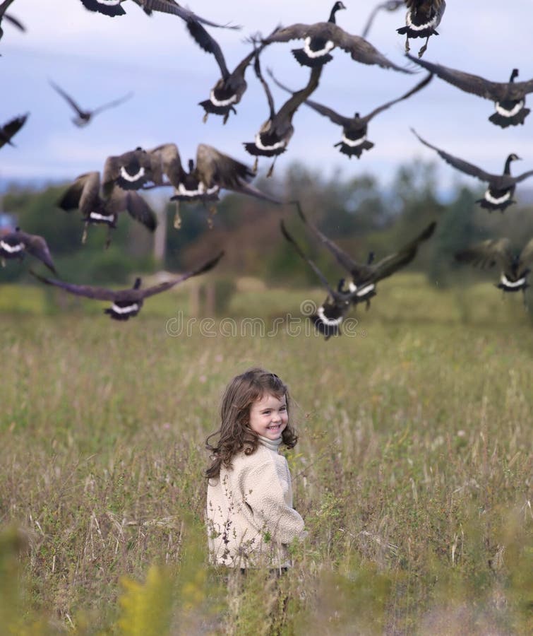 Παιδί που έχει τη διασκέδαση υπαίθρια με τις χήνες στοκ εικόνες με δικαίωμα ελεύθερης χρήσης