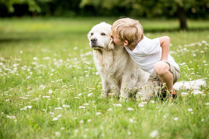 Παιδί που φιλά το χρυσό Retriever σκυλί στοκ φωτογραφία