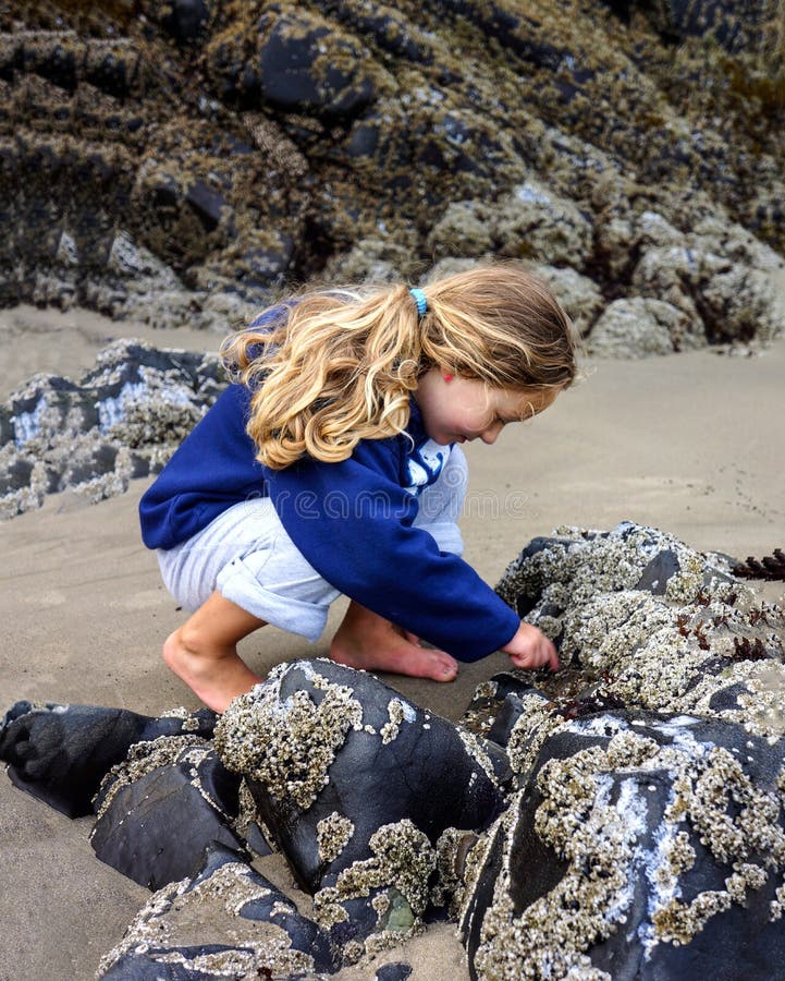 παιδιά εξερευνούν την παλίρροια στην παραλία