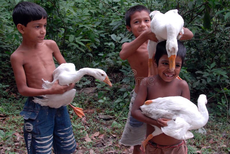 July 16,2011 Piali,West Bengal,India,Asia-A group of children playing with swans in a remote village of West Bengal-India. July 16,2011 Piali,West Bengal,India,Asia-A group of children playing with swans in a remote village of West Bengal-India.