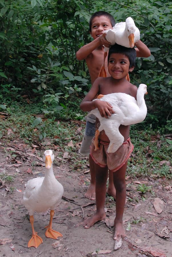 July 16,2011 Piali,West Bengal,India,Asia-A group of children playing with swans in a remote village of West Bengal-India. July 16,2011 Piali,West Bengal,India,Asia-A group of children playing with swans in a remote village of West Bengal-India.