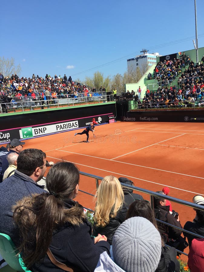 Παιχνίδι της Simona Halep στο ταϊσμένο φλυτζάνι στοκ φωτογραφίες Παιχνίδι της Simona Halep στο ταϊσμένο φλυτζάνι στοκ φωτογραφίες