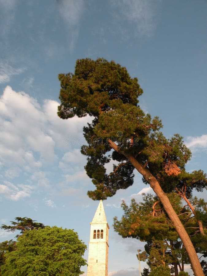 Παλαιά πόλη Istrian Novigrad, Κροατία Μια όμορφη εκκλησία με έναν υψηλό κομψό πύργο κουδουνιών, αλέες πετρών και ένα παλαιό μεσογ στοκ φωτογραφίες