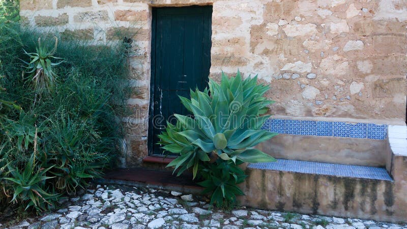 Παλαιά πόρτα με τον πάγκο πετρών και agaves στοκ φωτογραφίες με δικαίωμα ελεύθερης χρήσης Παλαιά πόρτα με τον πάγκο πετρών και agaves στοκ φωτογραφίες με δικαίωμα ελεύθερης χρήσης