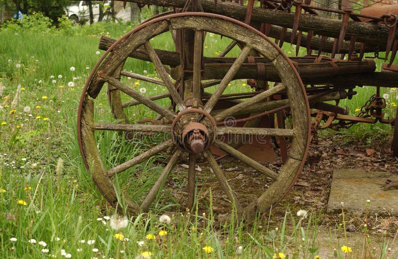 An old metal wheel in weed. An old metal wheel in weed